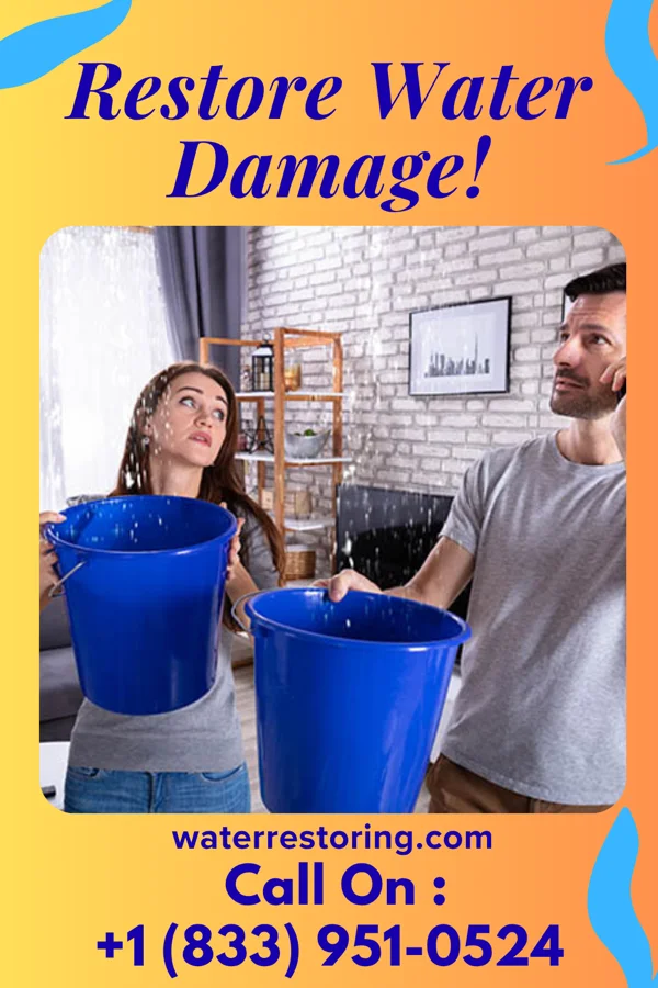 water restoration Modern Flood Cleanup Crew Dania Beach
