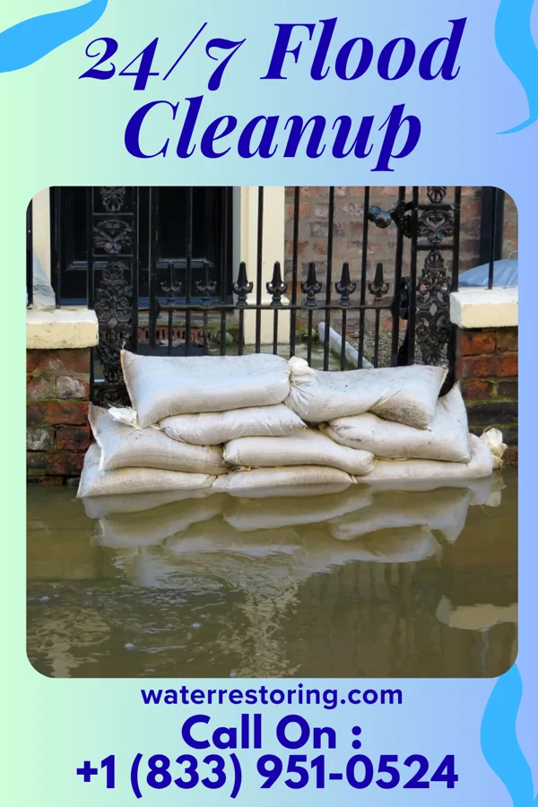 24/7 Flood Cleanup in Dania Beach, FL